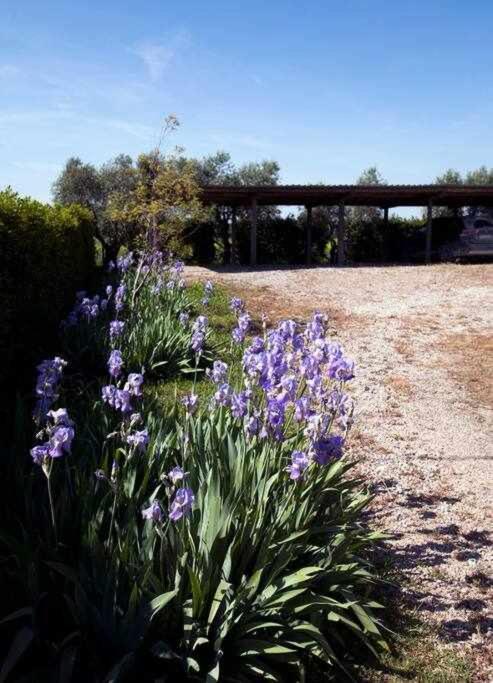 Agriturismo Podere Santa Virginia Albinia Ngoại thất bức ảnh